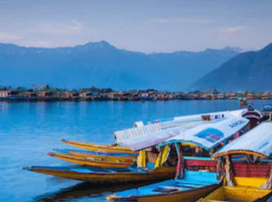 holiday packages kashmir srinagar