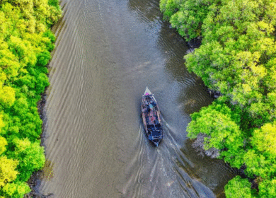 sundarban tour package